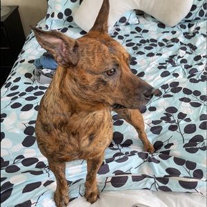 Meet your Posher, Nathan